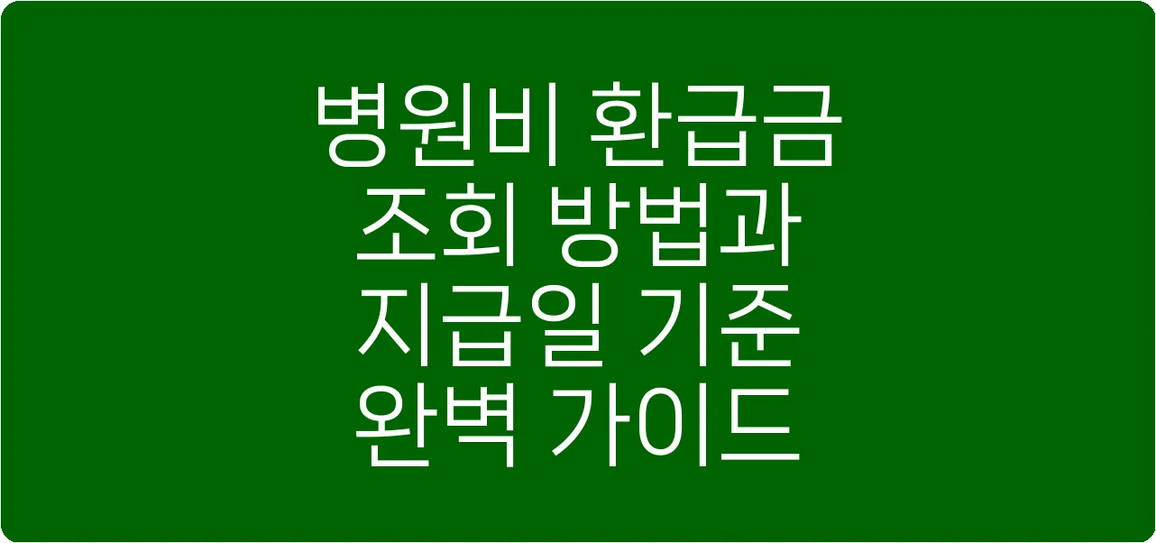 병원비 환급금 조회 방법과 지급일 기준 완벽 가이드
