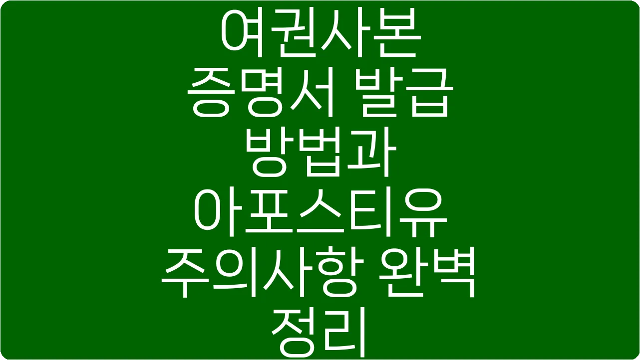 여권사본 증명서 발급 방법과 아포스티유 주의사항 완벽 정리