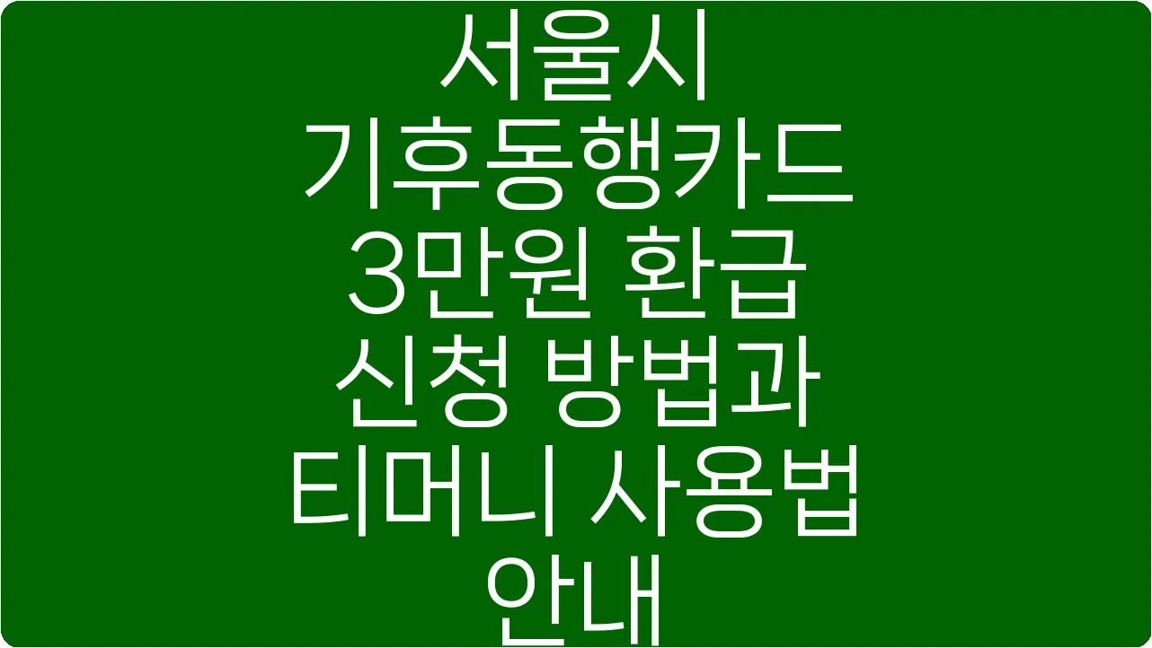 서울시 기후동행카드 3만원 환급 신청 방법과 티머니 사용법 안내