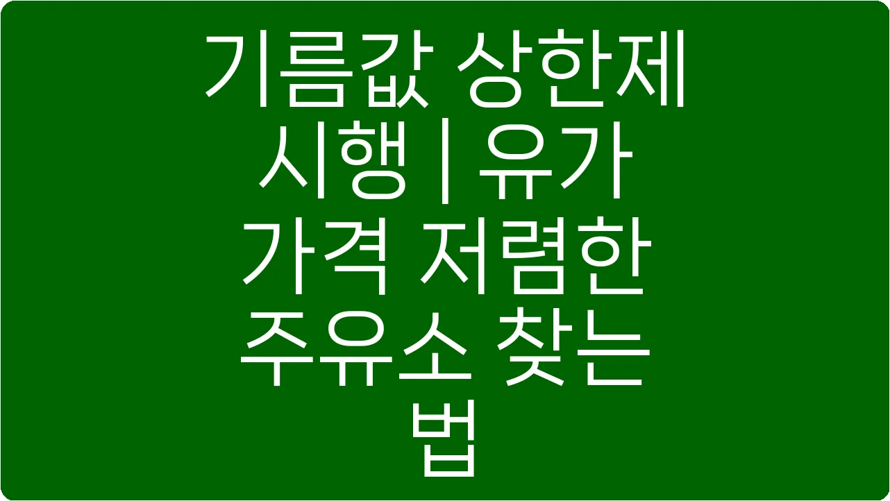 기름값 상한제 시행 | 유가 가격 저렴한 주유소 찾는 법