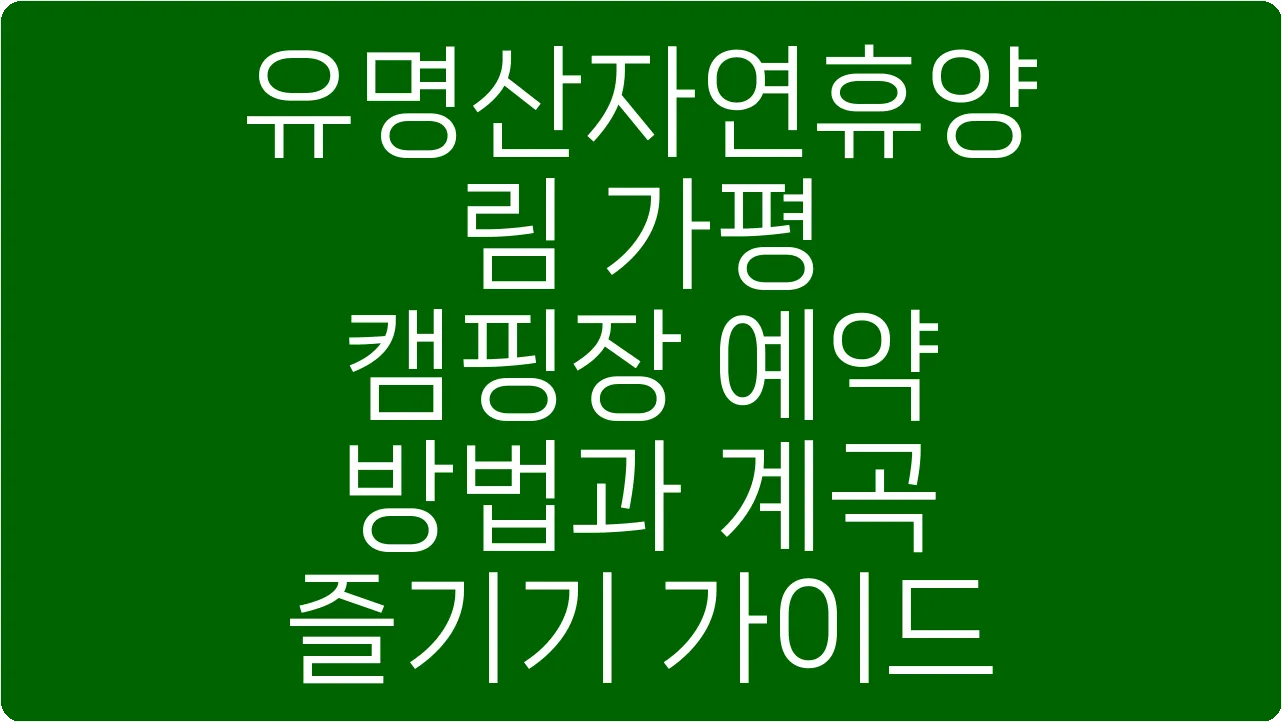 유명산자연휴양림 가평 캠핑장 예약 방법과 계곡 즐기기 가이드